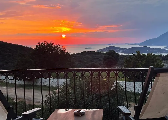 Lacitrus & Szálloda