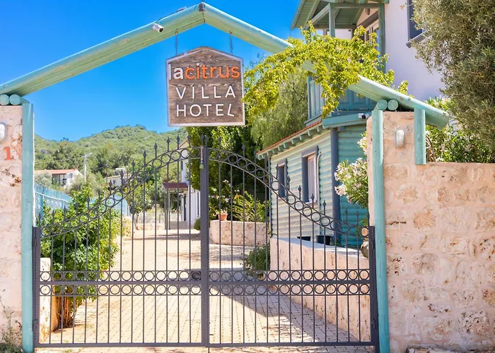 Lacitrus & Szálloda *