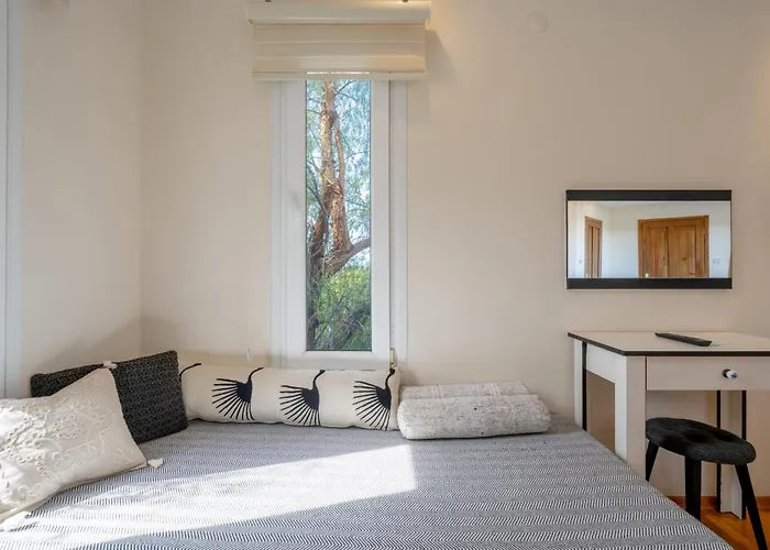 Szálloda Lacitrus & *