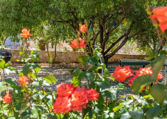 Lacitrus & Szálloda Kaş