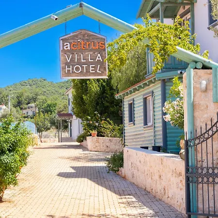 Hotel Lacitrus & *